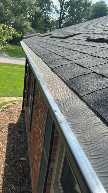 Mesh guard along a shingle roof