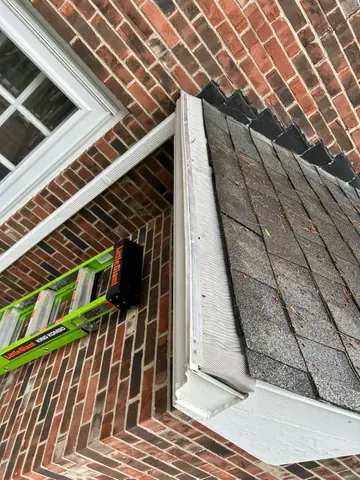 Guard fitted into a roof corner