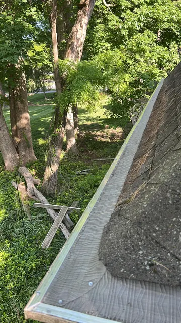 Guard beside a tree-lined roof