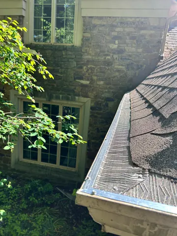 Mesh guard around a roof corner