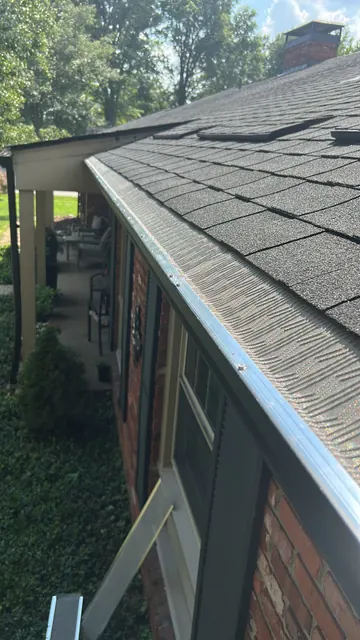 Mesh guard along a roofline