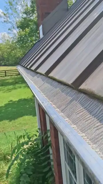 Mesh guards beside a metal roof